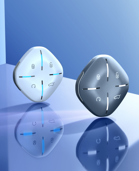 Smart Key